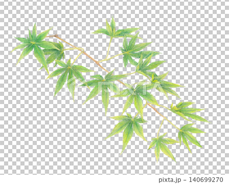 Hand-drawn blue maple leaf background material Hand-drawn blue maple leaf background material 140699270