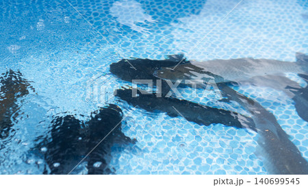Overhead view of several swimmers moving beneath the rippled blue surface of a swimming pool, with sunlight reflections, tiled background, and distorted body shapes creating an 140699545