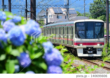 京王8000系と紫陽花 140699806