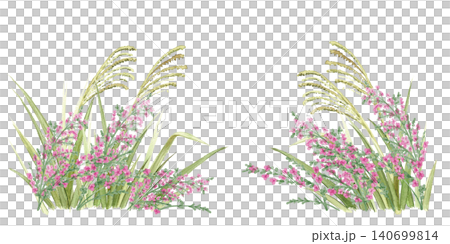 Watercolor illustration of pampas grass and bush clover in autumn. Watercolor illustration of pampas grass and bush clover in autumn. 140699814