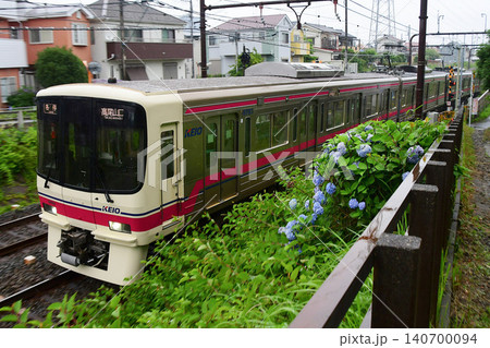 京王8000系8733Fと紫陽花 京王8000系8733Fと紫陽花 140700094
