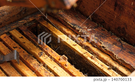 Detailed close-up of stacked wooden hive frames inside a beekeeping box, showing honeycomb, wax buildup, and bees in a rustic natural setting with warm sunlight and rich textured Detailed close-up of stacked wooden hive frames inside a beekeeping box, showing honeycomb, wax buildup, and bees in a rustic natural setting with warm sunlight and rich textured 140700133
