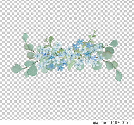 藍星與尤加利的水彩插圖 藍星與尤加利的水彩插圖 140700159