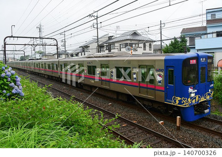 京王9000系30番台9731Fサンリオラッピングトレイン3代目と紫陽花 140700326