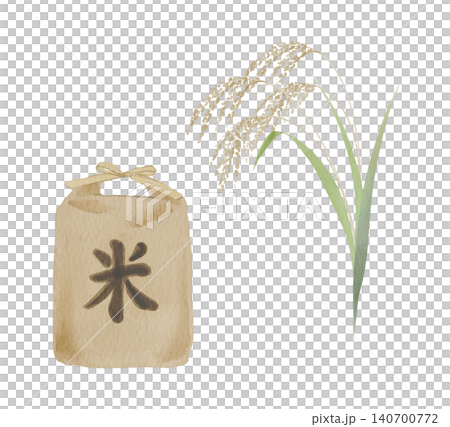 Watercolor painting of rice and rice stalks 140700772