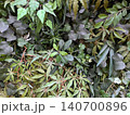 Lush artificial vertical garden wall with variety of green leaves 140700896