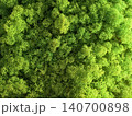Texture of stabilized green reindeer moss for interior decoration 140700898
