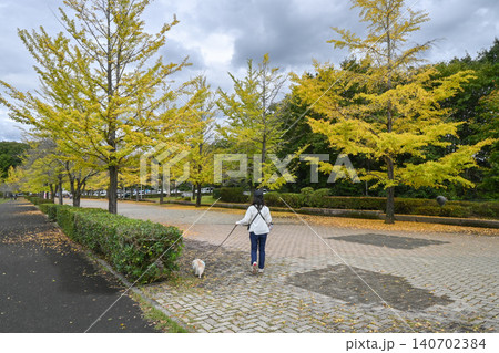 秩父ミューズパークの紅葉 秩父ミューズパークの紅葉 140702384