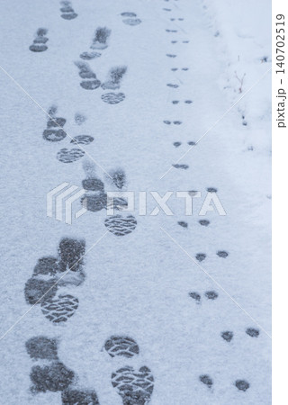 雪の日の散歩 140702519