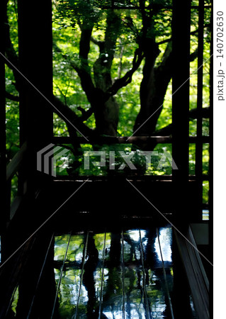 瑠璃光院の緑のある風景 瑠璃光院の緑のある風景 140702630