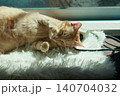 ケーブルと猫 140704032