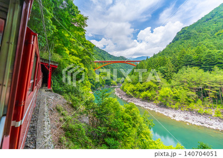 渓谷をゆっくりと走る日本で唯一のアプト式列車 井川線 絶景 車窓 渓谷をゆっくりと走る日本で唯一のアプト式列車 井川線 絶景 車窓 140704051