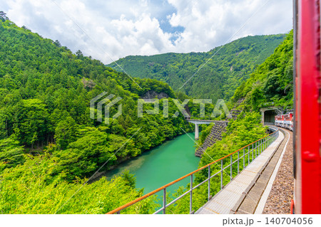 渓谷をゆっくりと走る日本で唯一のアプト式列車　井川線　絶景　車窓　 140704056