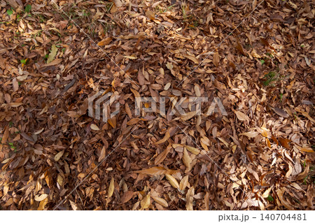 various various 140704481