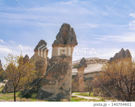 Fairy Chimneys Rock Formations in Cappadocia Turkey 140704601