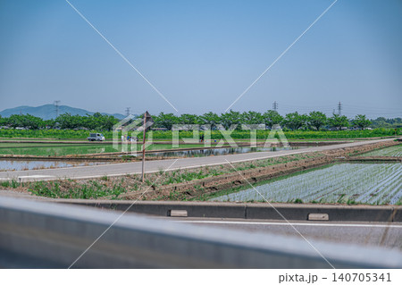 【#田園風景】車から見た初夏の田んぼ 【#田園風景】車から見た初夏の田んぼ 140705341