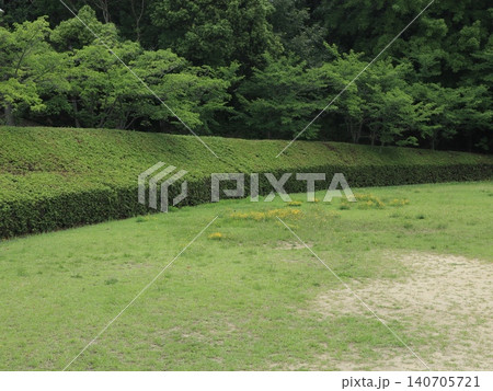 たんぽぽ畑の西神中央公園 たんぽぽ畑の西神中央公園 140705721