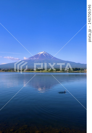 河口湖と富士山・鵜・長崎公園から(山梨県・富士河口湖町) 河口湖と富士山・鵜・長崎公園から(山梨県・富士河口湖町) 140706346