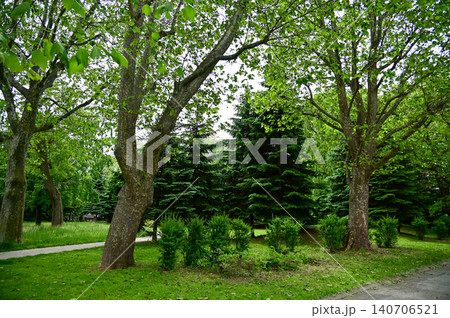 The scene of Nakajima Park in Sapporo, Hokkaido, Japan. The scenery of Nakajima Park in summer. A japanese garden and a decent public park in Japan. Nature and Travel scene. 140706521