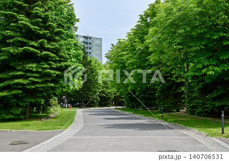 The scene of Nakajima Park in Sapporo, Hokkaido, Japan. The scenery of Nakajima Park in summer. A japanese garden and a decent public park in Japan. Nature and Travel scene. 140706531
