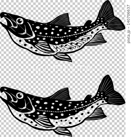 Fish illustration: Char (Iwana), black and white, suitable for cutting, vector format, white background (vector and PNG versions have transparent backgrounds), single illustration. Fish illustration: Char (Iwana), black and white, suitable for cutting, vector format, white background (vector and PNG versions have transparent backgrounds), single illustration. 140706637