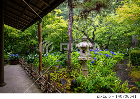 一条恵観山荘の雨に濡れる紫陽花と和の情緒あふれる風景 一条恵観山荘の雨に濡れる紫陽花と和の情緒あふれる風景 140706641