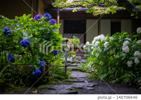 一条恵観山荘の雨に濡れる紫陽花と和の情緒あふれる風景 140706646
