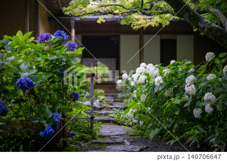一条恵観山荘の雨に濡れる紫陽花と和の情緒あふれる風景 一条恵観山荘の雨に濡れる紫陽花と和の情緒あふれる風景 140706647
