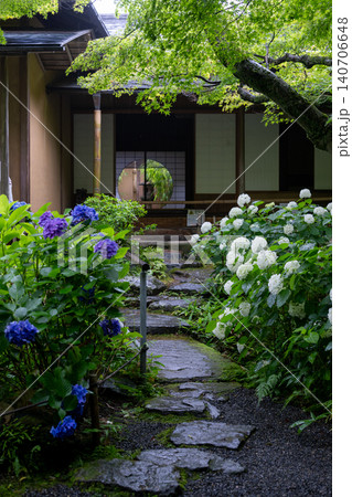 一条恵観山荘の雨に濡れる紫陽花と和の情緒あふれる風景 140706648