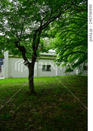 The scene of ehe Hokkaido University in Sapporo, Hokkaido, Japan. The view of the campus of Hokkaido University. Green plants, green trees with the building. Nature and Travel scene. The scene of ehe Hokkaido University in Sapporo, Hokkaido, Japan. The view of the campus of Hokkaido University. Green plants, green trees with the building. Nature and Travel scene. 140706998