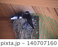 ツバメの巣 140707160