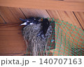 ツバメの巣 140707163
