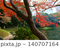 紅葉 140707164