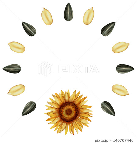 Hand painted watercolor sunflower seed wreath. Seeds. Perfect for invitations, seasonal cards, wedding decorations and rustic decor. Hand painted watercolor sunflower seed wreath. Seeds. Perfect for invitations, seasonal cards, wedding decorations and rustic decor. 140707446