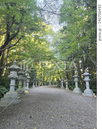 新緑の木々と木漏れ日が差し込む神社の参道と石灯籠の風景 新緑の木々と木漏れ日が差し込む神社の参道と石灯籠の風景 140708493
