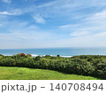 青空と穏やかな海を見下ろす緑豊かな草地と海岸の風景 140708494