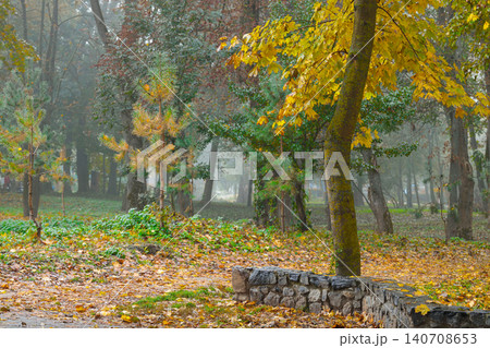 Golden leaves blanket the ground in a tranquil park setting, with trees shrouded in a gentle fog creating a serene atmosphere Golden leaves blanket the ground in a tranquil park setting, with trees shrouded in a gentle fog creating a serene atmosphere 140708653