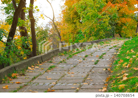 Curving paved pathway through a park with vibrant autumn foliage and fallen leaves 140708654