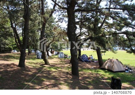 バーベキュー場 葛西臨海公園 夏 バーベキュー場 葛西臨海公園 夏 140708870