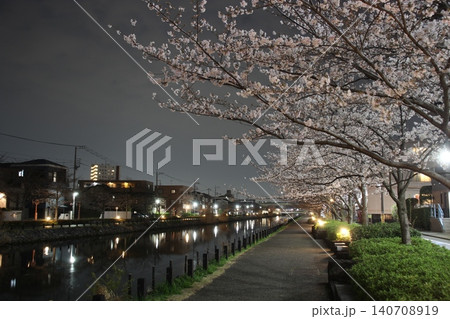 夜桜 川岸 新川 夜桜 川岸 新川 140708919