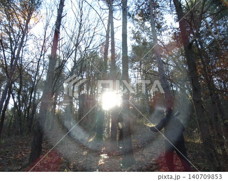 People walking through forest with sun flare People walking through forest with sun flare 140709853