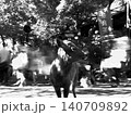Deer standing still among blurred crowd motion in nara park 140709892