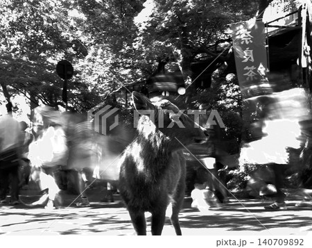 Deer standing still among blurred crowd motion in nara park Deer standing still among blurred crowd motion in nara park 140709892