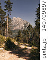 Pedraforca mountain path leading through pine forest 140709897