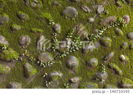 Moss covered stone wall with creeping vine Moss covered stone wall with creeping vine 140710195