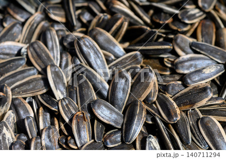 Sunflower seeds scattered on a rustic wooden table inviting a cozy snack moment Sunflower seeds scattered on a rustic wooden table inviting a cozy snack moment 140711294