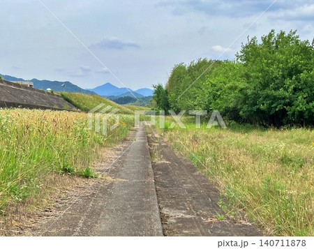 夏草が茂る土手道と山並みへと続く一本道の風景 夏草が茂る土手道と山並みへと続く一本道の風景 140711878