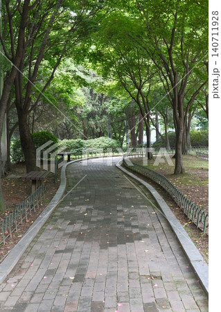 Stone staircase leading through green forest with pink silk tree blossoms 140711928