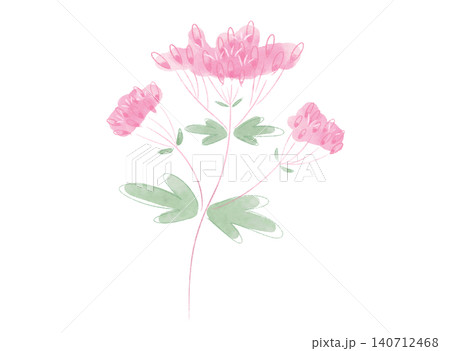 秋の七草 かわいいフジバカマのイラスト 水彩風 秋の七草 かわいいフジバカマのイラスト 水彩風 140712468