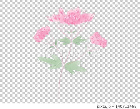 秋の七草 かわいいフジバカマのイラスト 水彩風 秋の七草 かわいいフジバカマのイラスト 水彩風 140712468